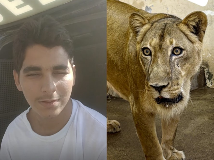 Vaqueirinho: Justiça determinou há um mês internação de jovem esquizofrênico, que acabou morto por leoa antes de ser intimado