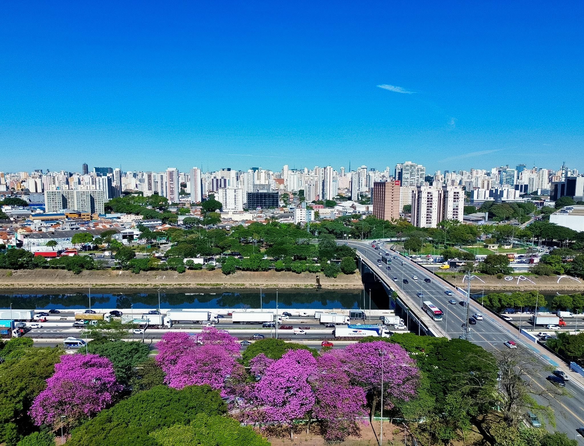 Thành phố São Paulo có hơn 54% diện tích phủ xanh, thuộc nhóm tỷ lệ cao nhất trong các đô thị lớn trên thế giới — (Ảnh: Sergio Barzaghi/PrefSP/Divulgação)