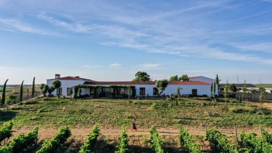 vinhos-de-portugal-r-tulos-brancos-e-tintos-do-espor-o-revelam-a