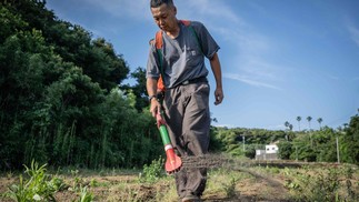 'Shimogoe', o fertilizante feito de fezes humanas, ganha popularidade no Japão — Foto: Yuichi YAMAZAKI / AF