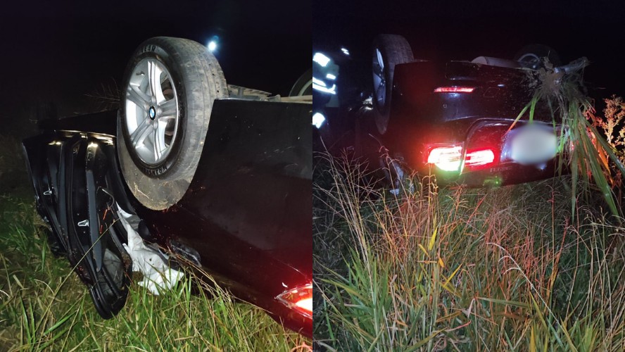 BMW bate em carro de boi, capota e mata quatro animais no Sul de Minas; motorista tem ferimentos leves