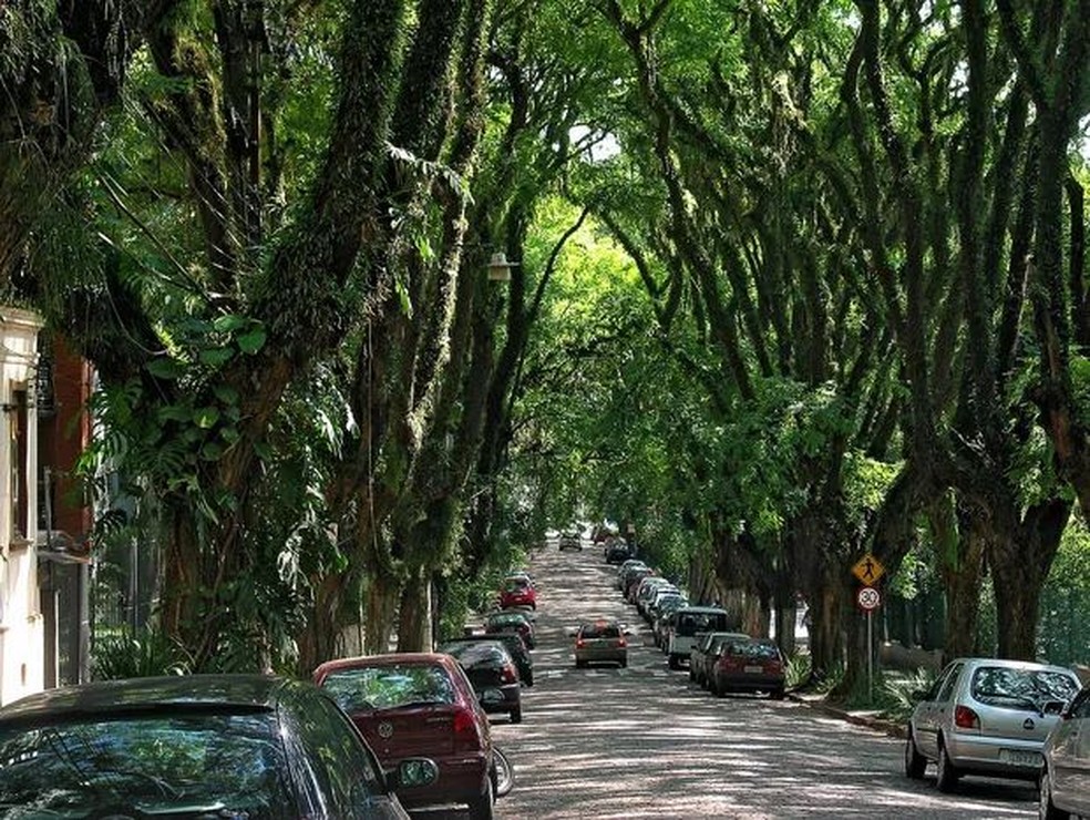 Rua Gonçalo de Carvalho, in Porto Alegre (RS) — Photo: Wikimedia Commons