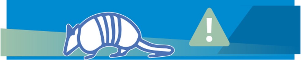 Indirect influences – Photo: Editoria de Arte