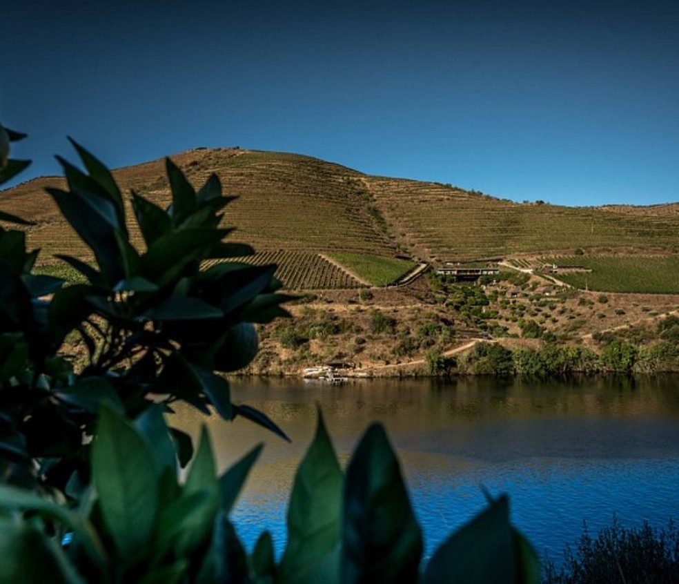 Quinta do Vallado: beleza na paisagem do Douro — Foto: Divulgação / Quinta do Vallado