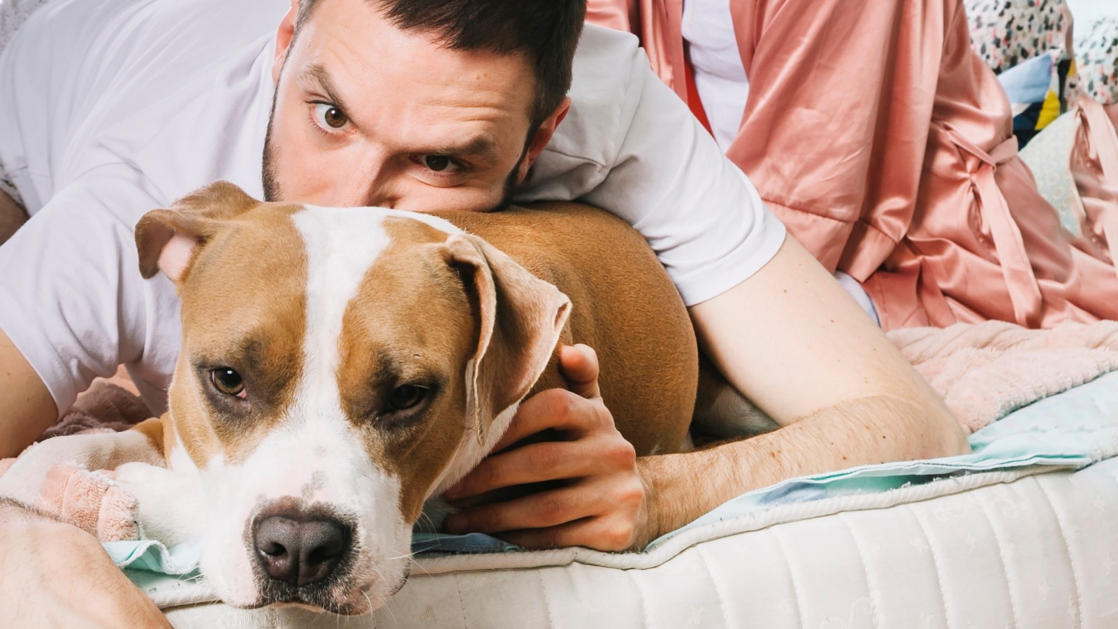 Seu cachorro sofre quando fica sozinho? Estudo mostra o que está por trás e especialista dá orientações práticas