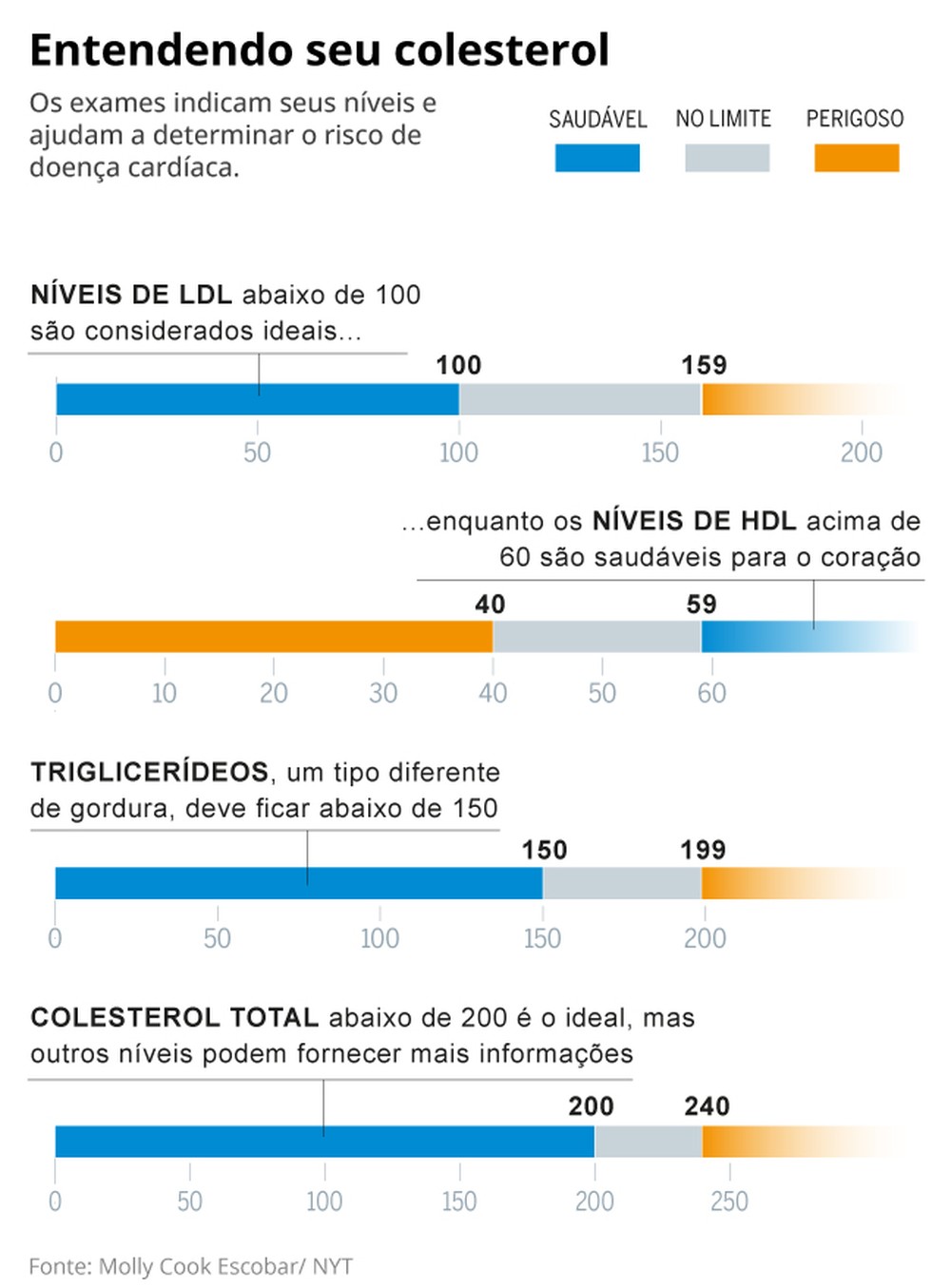 Colesterol: como interpretar os exames, impacto na saúde, tratamentos ...