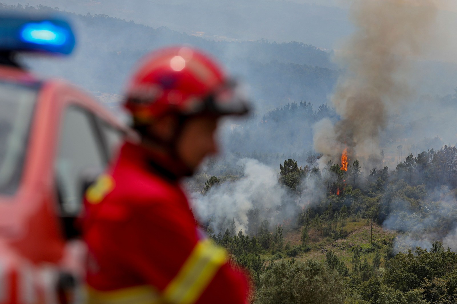 Centenas de bombeiros atuam em diversas regiões do país — Foto: Pedro Rocha/ AFP