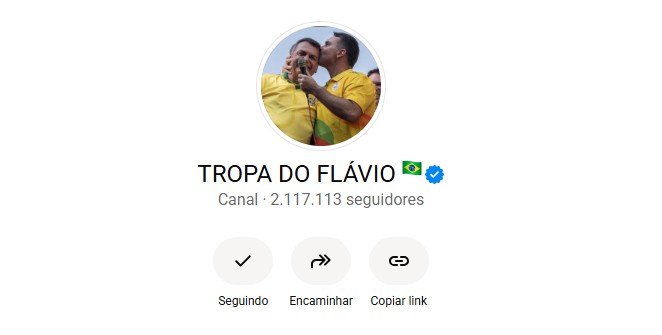 TSE mantém canal 'Tropa do Flávio' no ar, mas manda retirar áudio de Gustavo Gayer sobre suposta fraude eleitoral