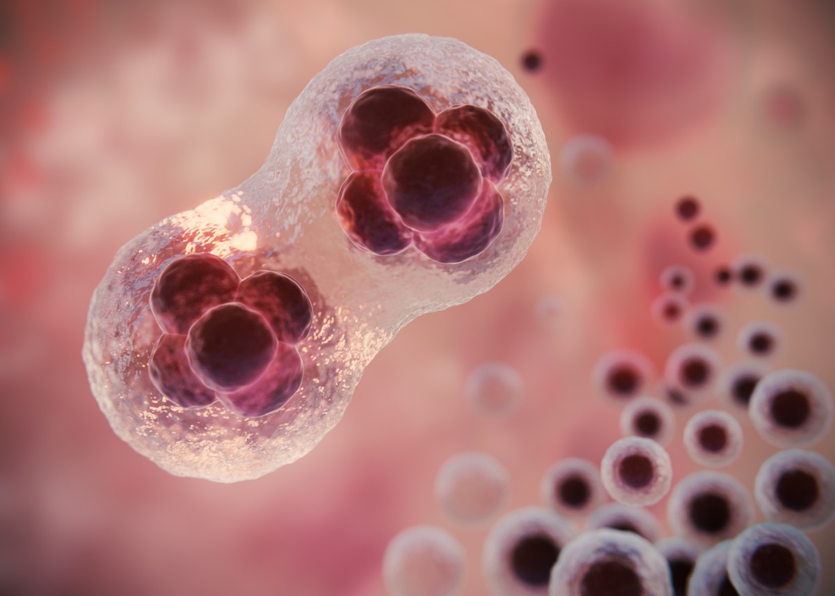 Bebês em laboratório sem óvulos ou esperma