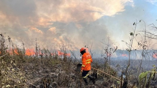 'O incêndio no Pantanal voltou': cientista faz alerta após registro de chamas no bioma, ameaçado por calor intenso
