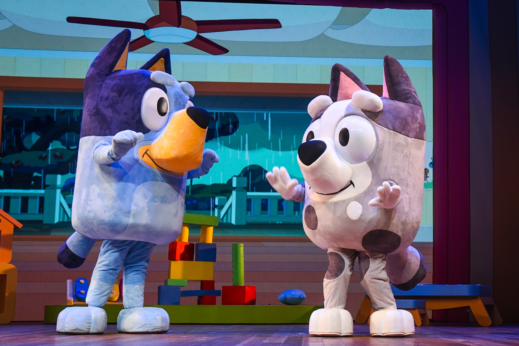 Show oficial 'Bluey Ao Vivo – Diversão em Família!' retorna ao Rio de Janeiro, agora no Teatro Multiplan VillageMall