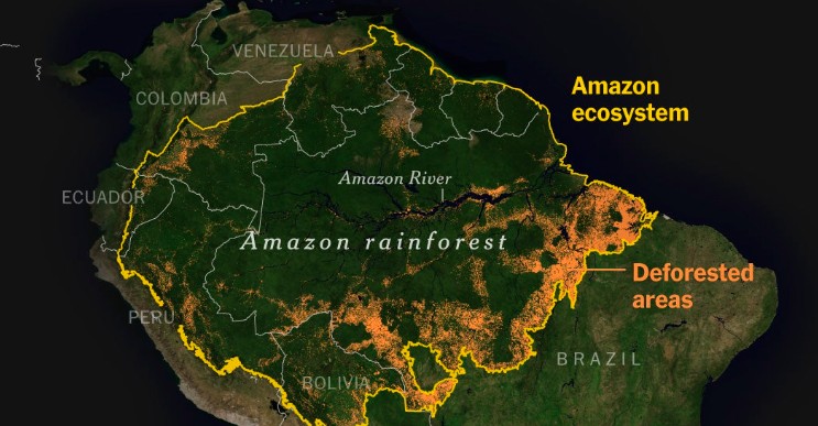 'Eleição no Brasil pode definir futuro da Amazônia', diz The New York Times; entenda posição do jornal