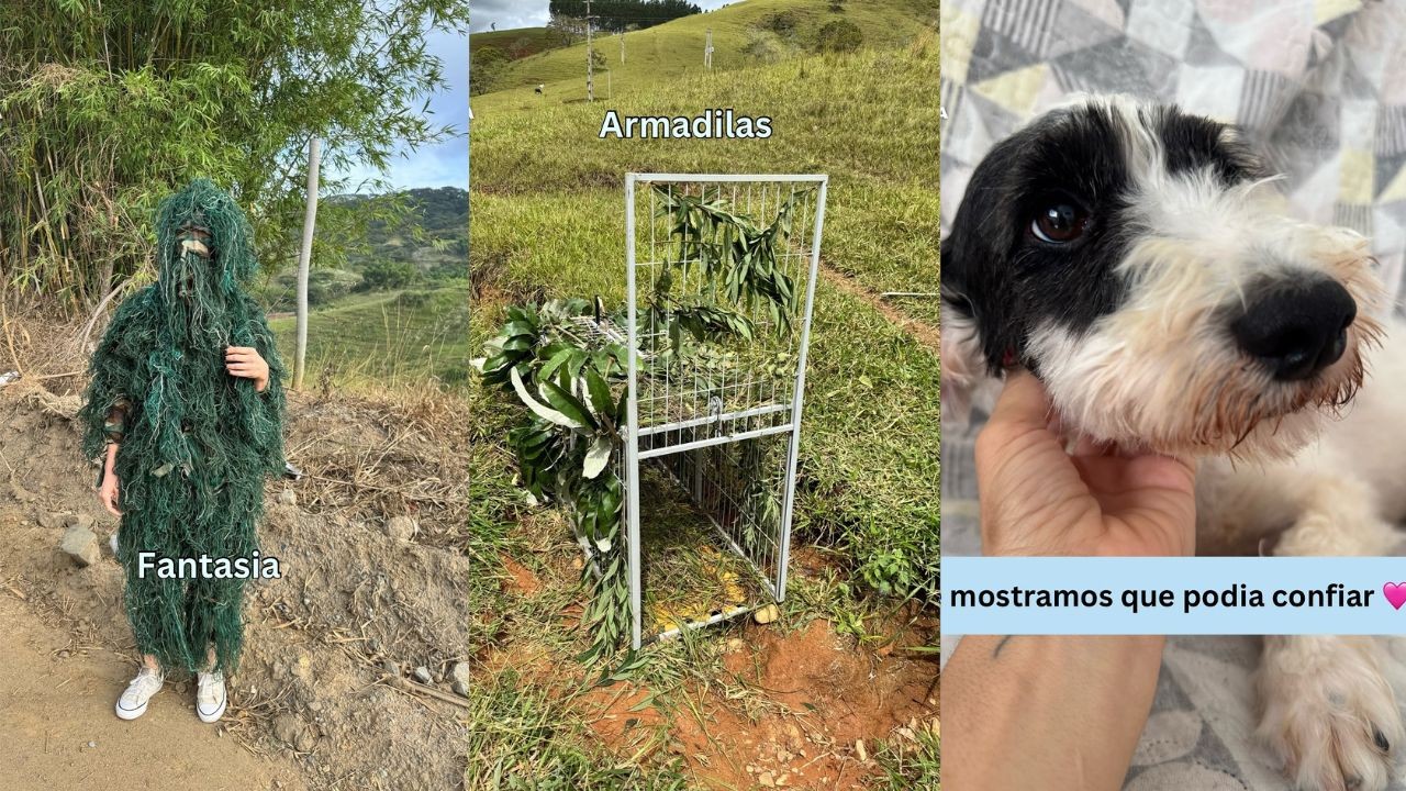 Drone, fantasia e armadilha: ONG em Minas Gerais viraliza ao fazer operação de quase um mês para resgatar cadela em estrada; vídeo