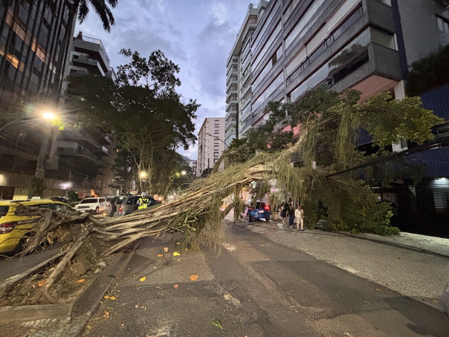 O que o vendaval que atingiu o país tem a ver com o El Niño?