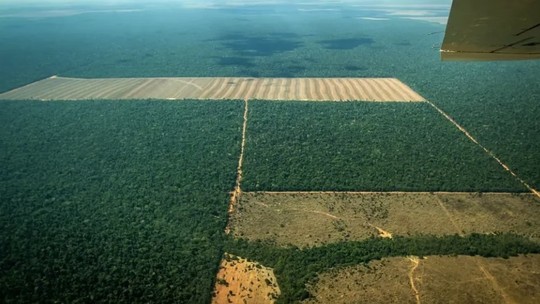 Mato Grosso tem sete cidades entre as dez que mais desmataram a Amazônia em fevereiro