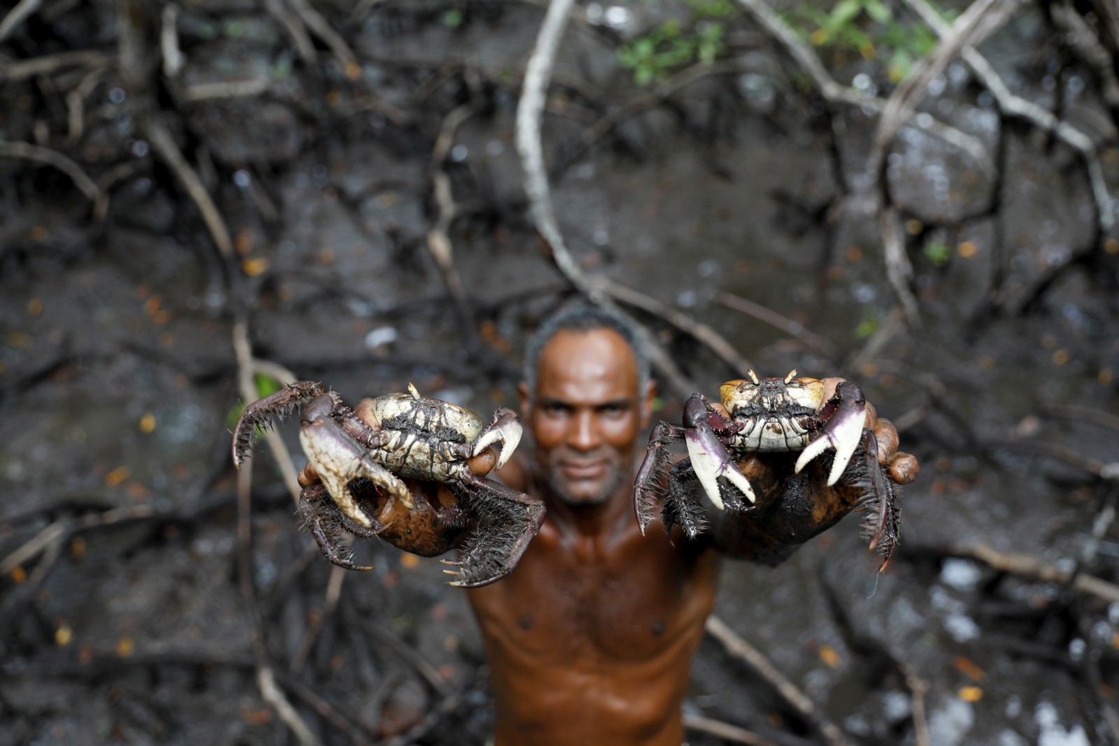 Pescador mostra caranguejos capturados por ele em manguezal na Bahia, no Brasil. Espécie vem se tornando cada vez mais escassa à medida que o  aquecimento global vem causando o aumento da temperatura da água e, consequentemente, a morte de caranguejos e outros animais em sua cadeia alimentarREUTERS