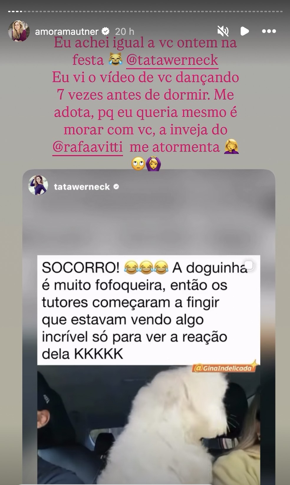 Story de Amora Mautner — Foto: Reprodução/Instagram