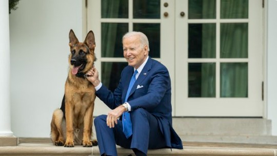 Cachorro de Biden morde outro agente do Serviço Secreto dos EUA