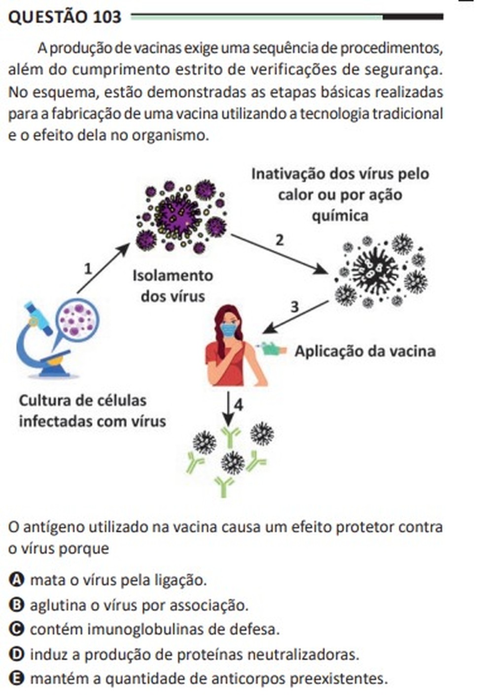 Enem: questão sobre vacina — Foto: Reprodução
