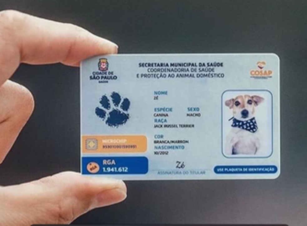 Pet Shop Perto de Mim - N+ PETCENTER Veterinário em Niterói