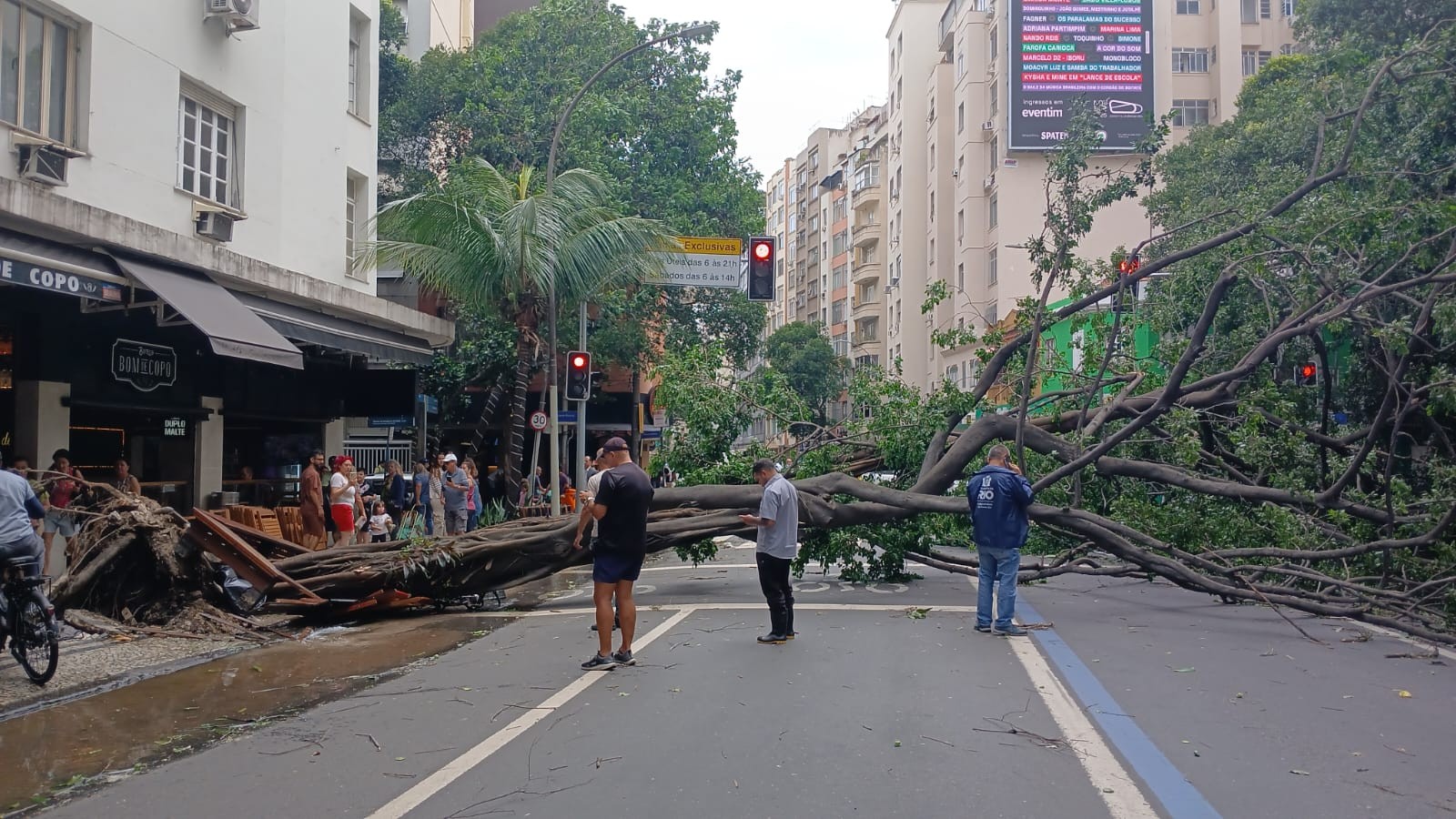 Wind forces knock down the Rua Barra Ribeiro tree, snarling traffic in Copacabana — Photo: Suzana Ribeiro