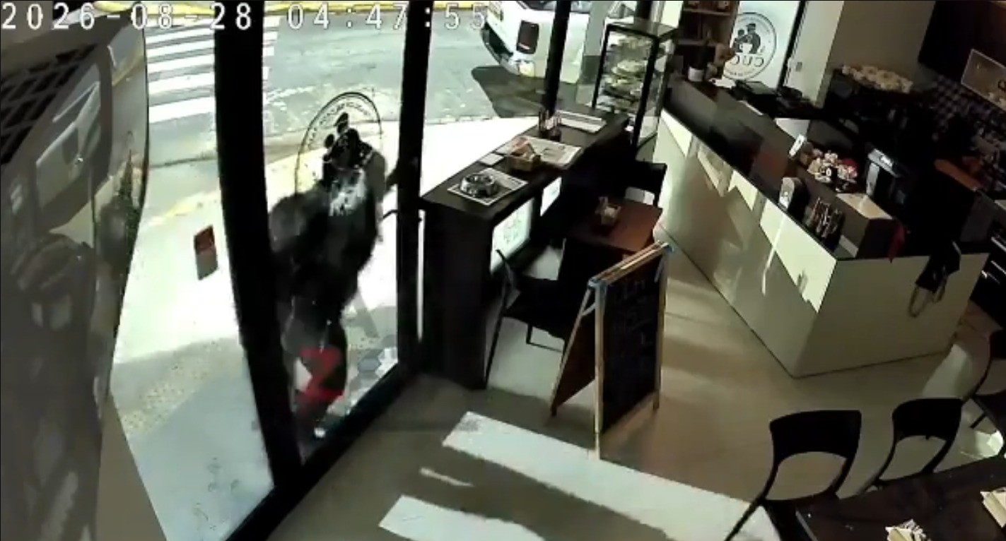 Homem quebra porta de vidro com cabeçadas para roubar cafeteria na Argentina; vídeo - QTU Questões do Universo