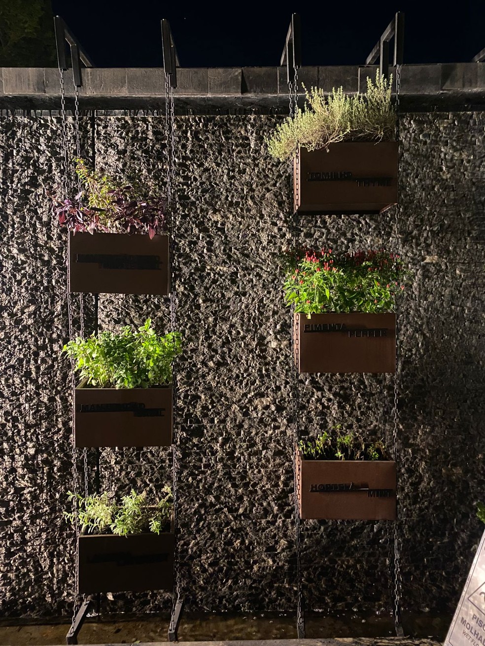 Horta orgânica para suprir bar e restaurante — Foto: Bruno Calixto/Divulgação