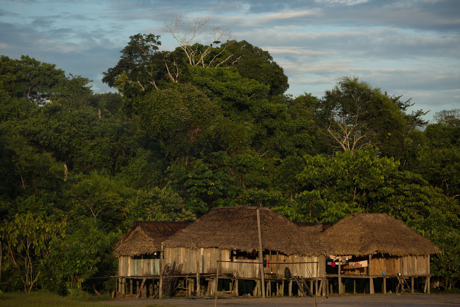 Vale do Javari — Foto: Bruno Kelly / Amazônia Real