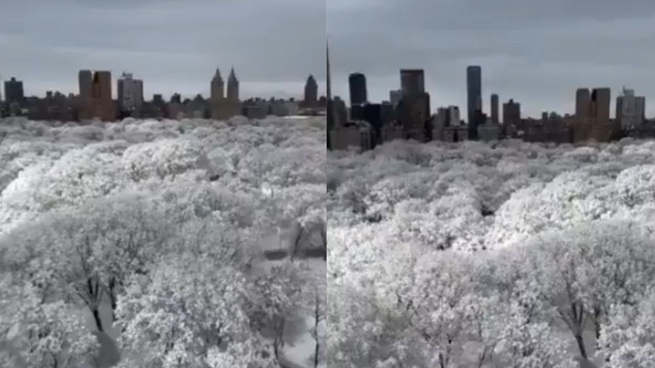 Central Park coberto de neve viraliza em meio &agrave; forte nevasca que atinge Nova York; v&iacute;deo