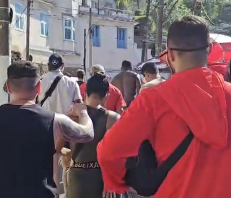 Mulher foi presa na sexta-feira por furto de celular — Foto: Divulgação/Polícia Civil