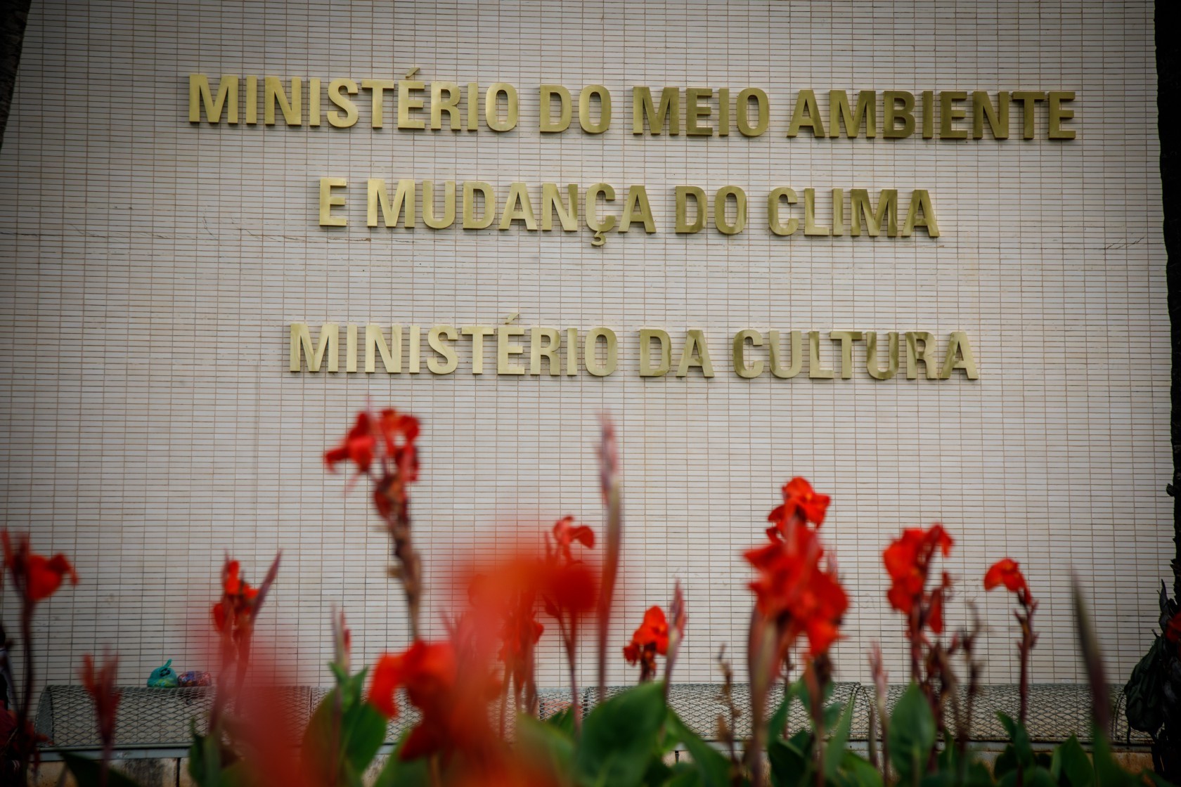 Ministério da Cultura espera fechar o ano com captação recorde de mais de R$ 3 bilhões