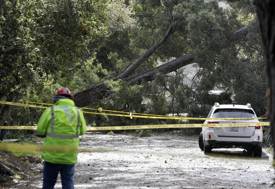 Árvore caída bloqueia estrada durante tempestade na Califórnia