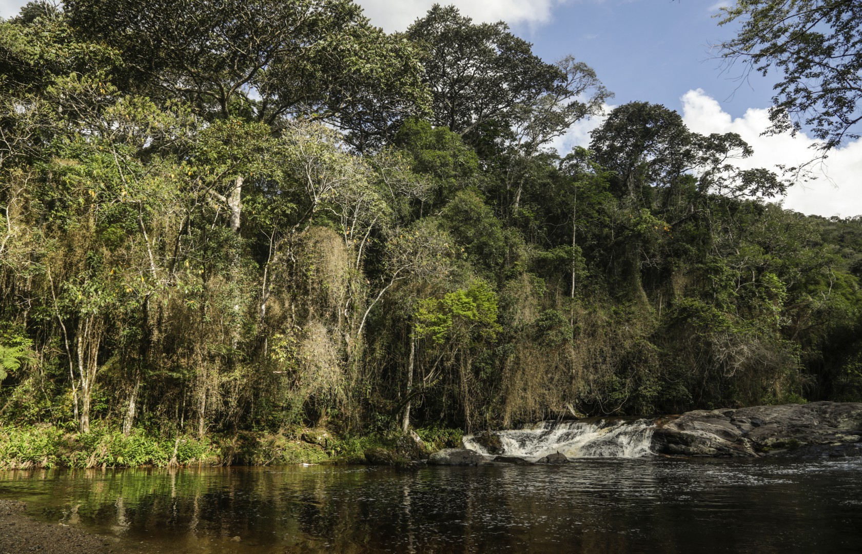 Após queda de 28%, Mata Atlântica tem menor registro histórico de desmatamento