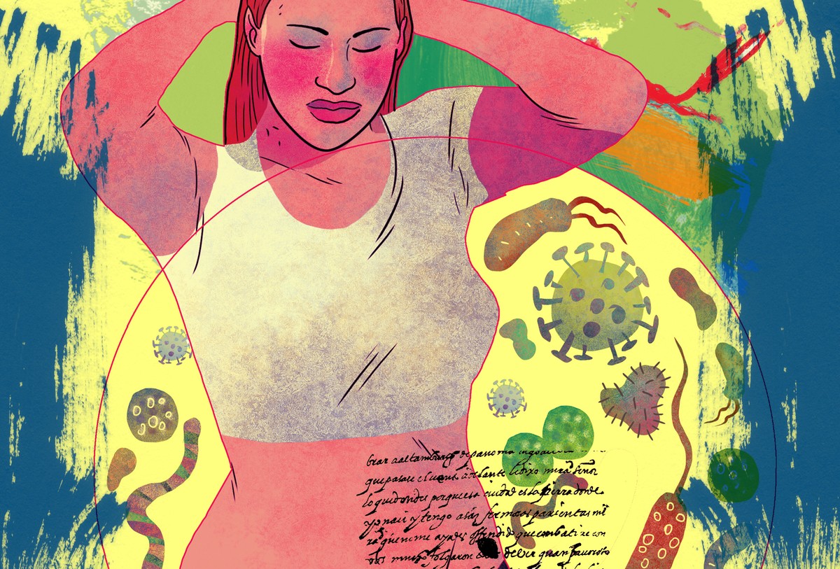Bactérias do intestino estão ligadas a doenças neurológicas, como alzheimer e esclerose múltipla, revela novo estudo