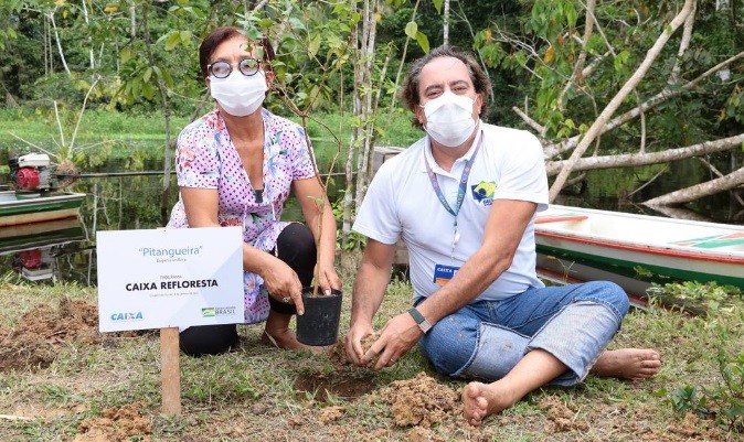 Pedro Guimarães ajuda a plantar uma árvore em Cruzeiro do Sul, no Acre. Foto:Caixa/Divulgação