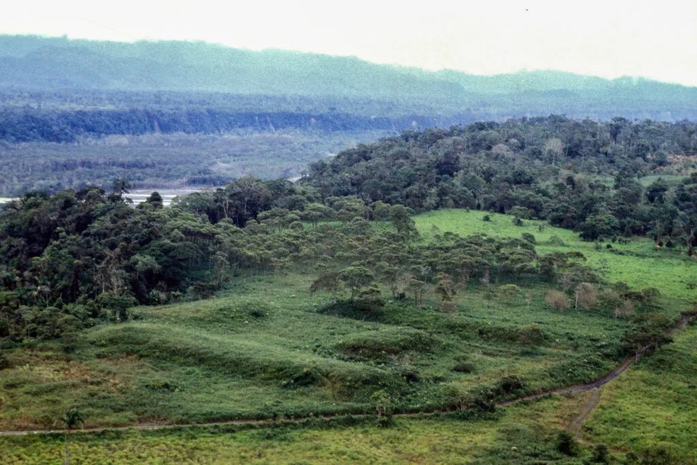 Um complexo de plataformas retangulares de terra no sítio Nijiamanch, ao longo da borda do penhasco do rio Upano, no Equador — Foto: Stéphen Rostain/The New York Times