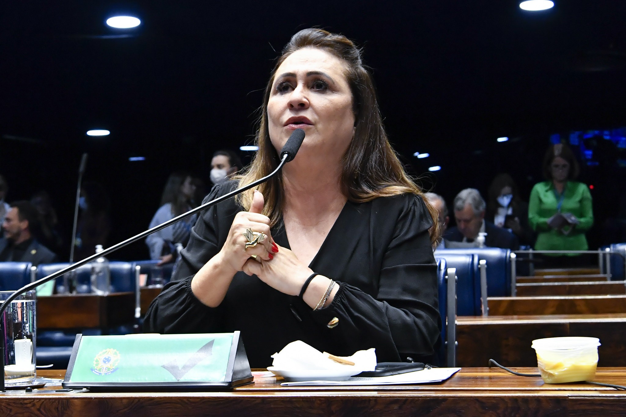 Kátia Abreu é aplaudida em reunião do PT ao dizer que campanha de Lula é comandada por ‘paulistas sem voto’ e pedir ‘menos Janja e mais Alckmin’ - Foto