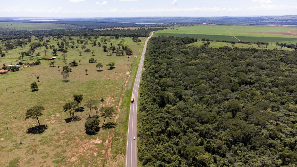 Desmatamento na Amazônia registra menor patamar desde 2014; Cerrado também tem queda