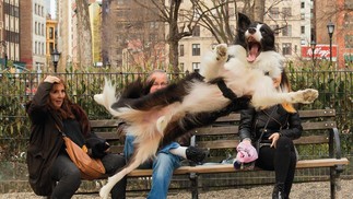 Cão salta e late ao mesmo tempo — Foto: Comedy Pet Photo Awards/Chris Porsz