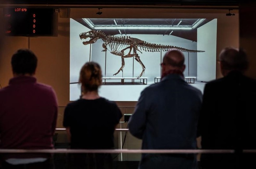 Esqueleto de tiranossauro rex é vendido por R$ 26,5 milhões na Suíça