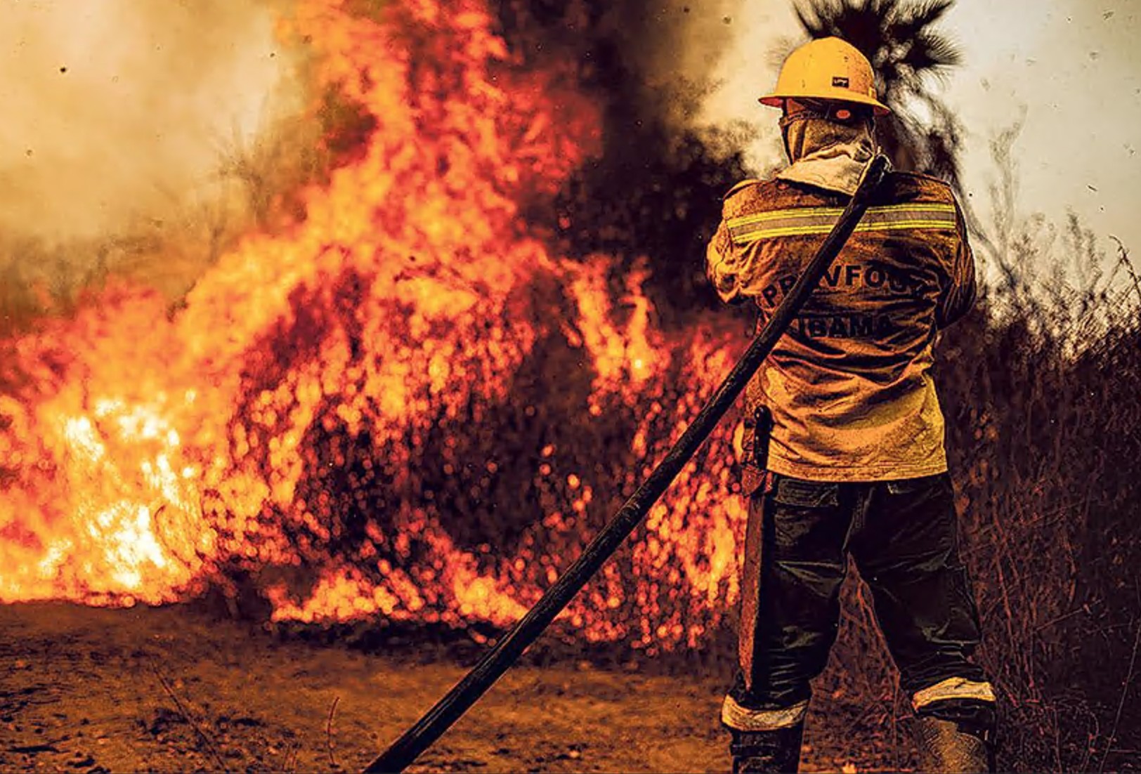 Pantanal se prepara para previsão de 'Super El Niño' com ações contra incêndios