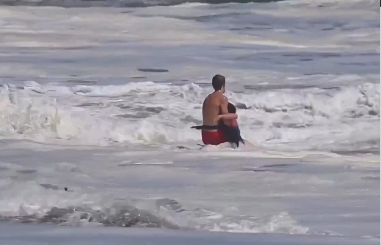 Jovem salva-vidas de 16 anos desafia ondas gigantes e resgata menino levado pelo mar nos EUA; veja vídeo