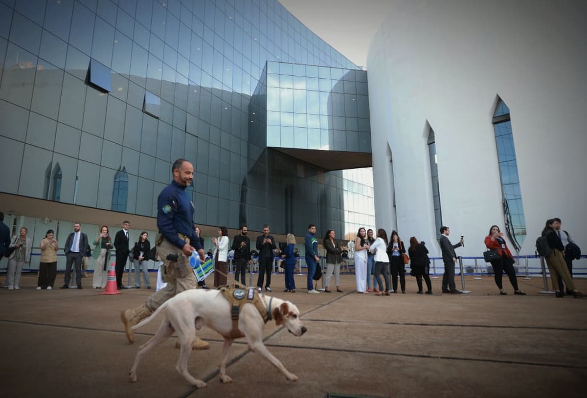 STF tem drones e policiais com cães farejadores para julgamento de Bolsonaro e demais réus da trama golpista