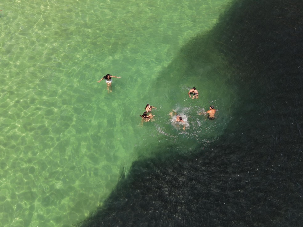 Bathers swim near a school of fish on Leme beach — Photo: João Gabriel de Paiva/Agência O Globo