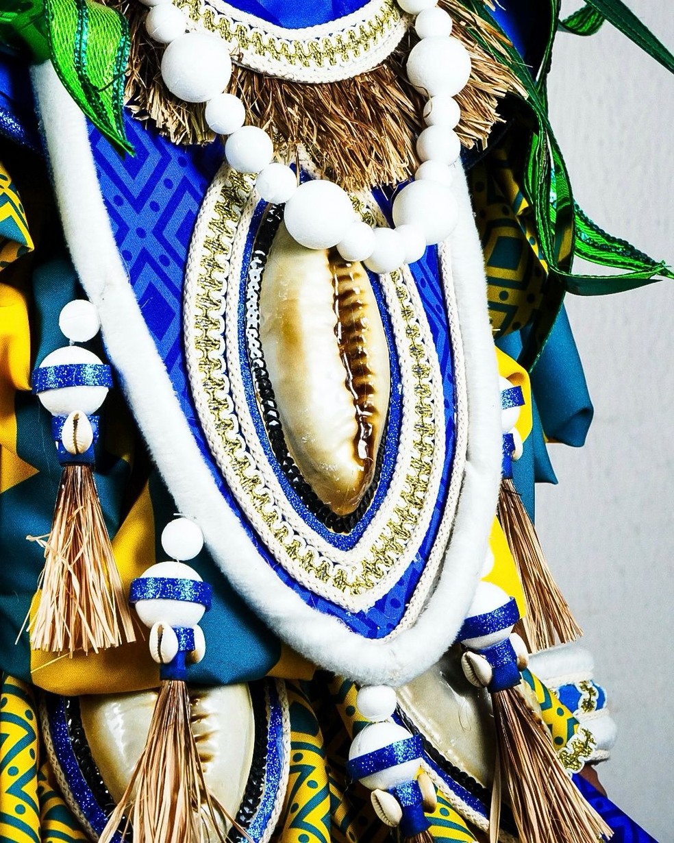 Detalhes de uma das fantasias da Paraíso do Tuiuti — Foto: Divulgação
