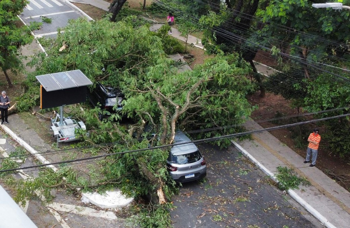 Destruição causada por vendaval vira tema da campanha de Nunes e Boulos pela prefeitura de São Paulo