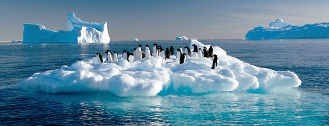 Pinguins em cima de bloco de gelo — Foto: Frederique Olivier / AFP