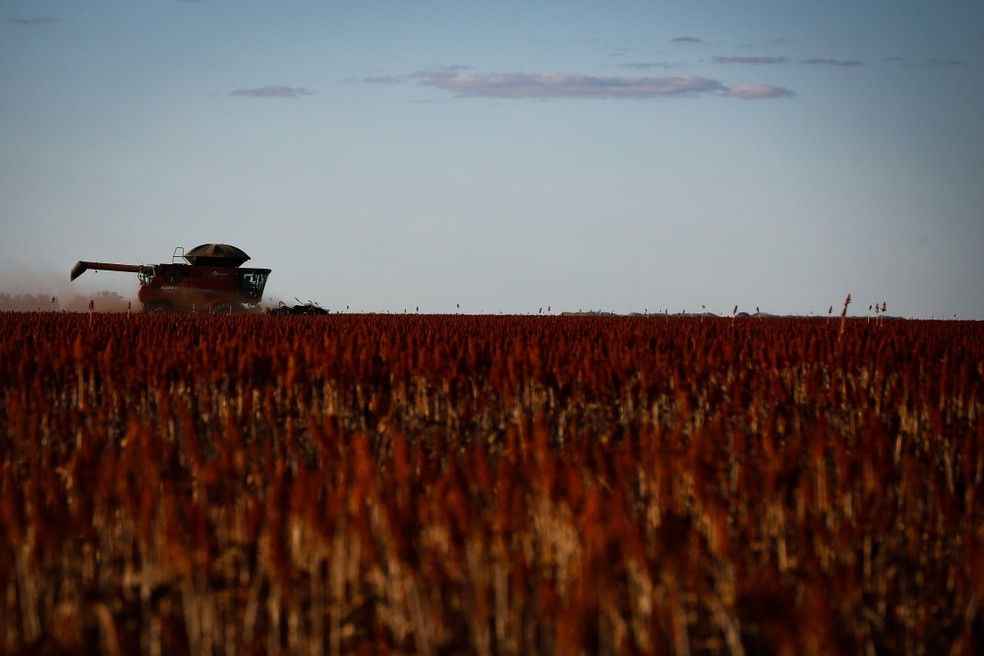 Agronegócio brasileiro depende de fertilizantes importados — Foto: Pablo Jacob / Agência O Globo