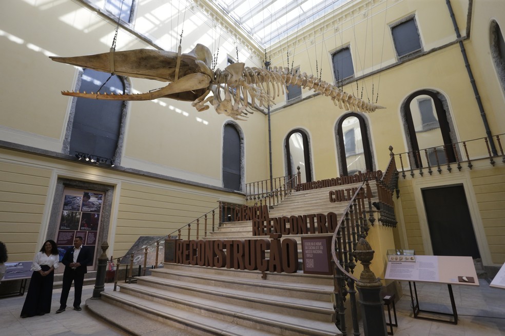 Museu Nacional reabre sete anos após incêndio para visitação — Foto: Domingos Peixoto / Agência O Globo