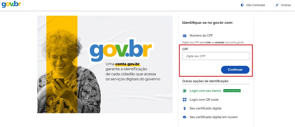 Insira seu CPF e sua senha gov.br — Foto: Reprodução